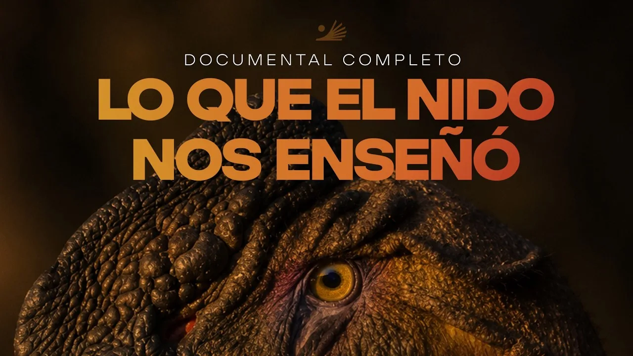 Documental Lo que el nido nos enseñó