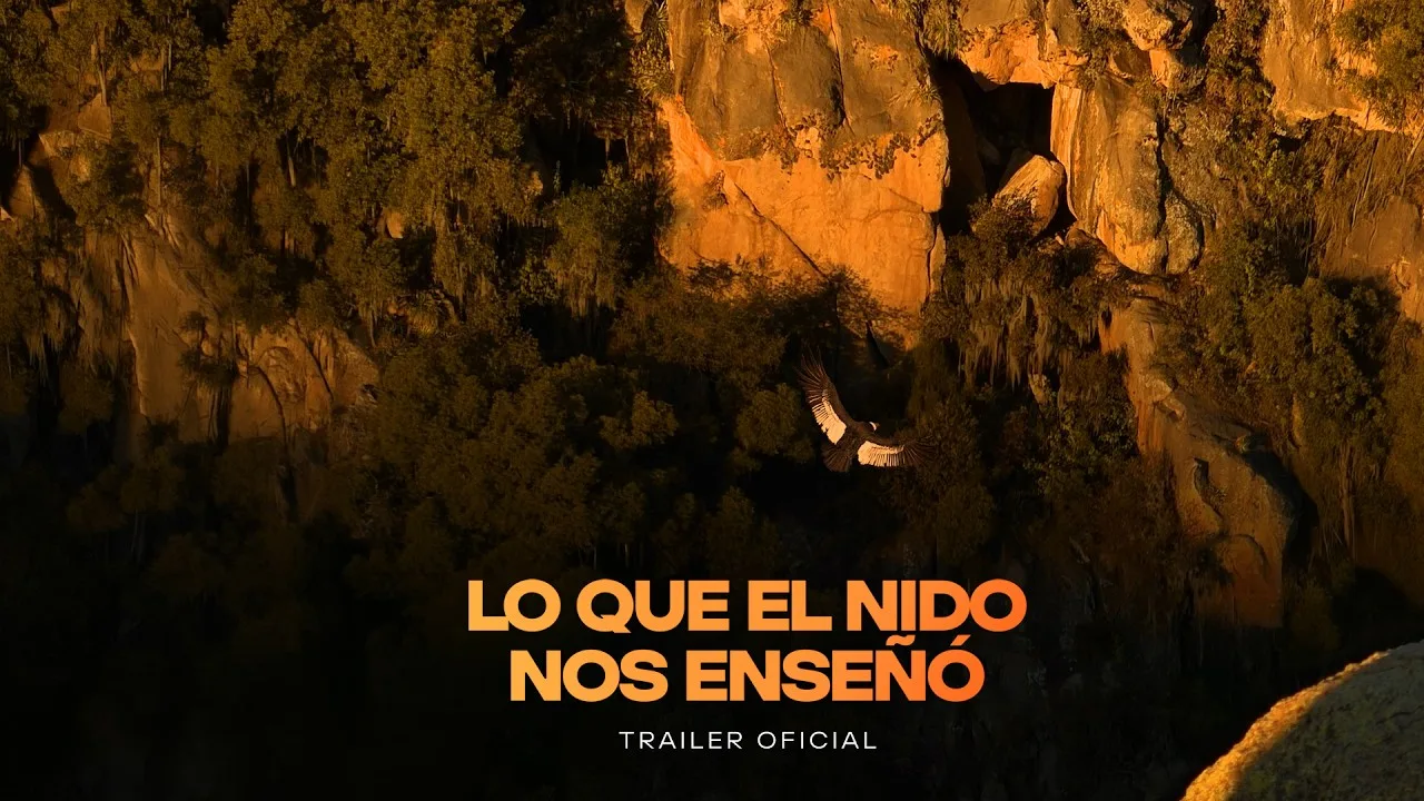 Tráiler oficial de Lo que el nido nos enseñó